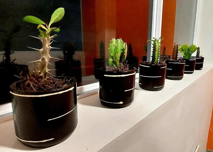 Apartamento Loft Container - Planta Baja - Roma Norte